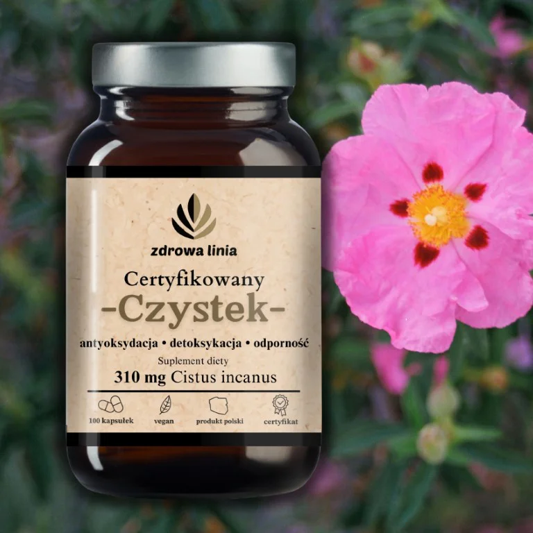 Certyfikowany Czystek - obrazek 6