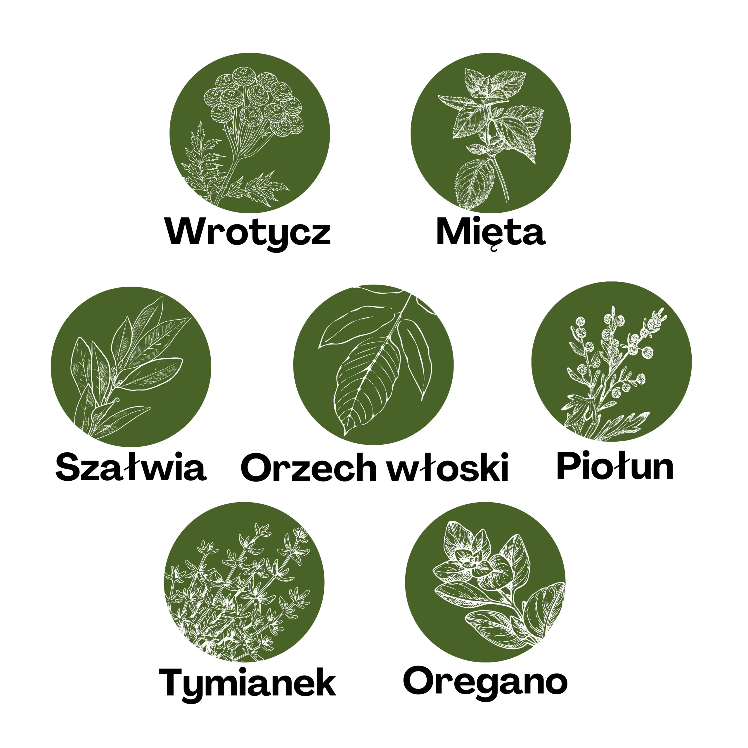 Ziołowa mieszanka "homo parasitus" - obrazek 3