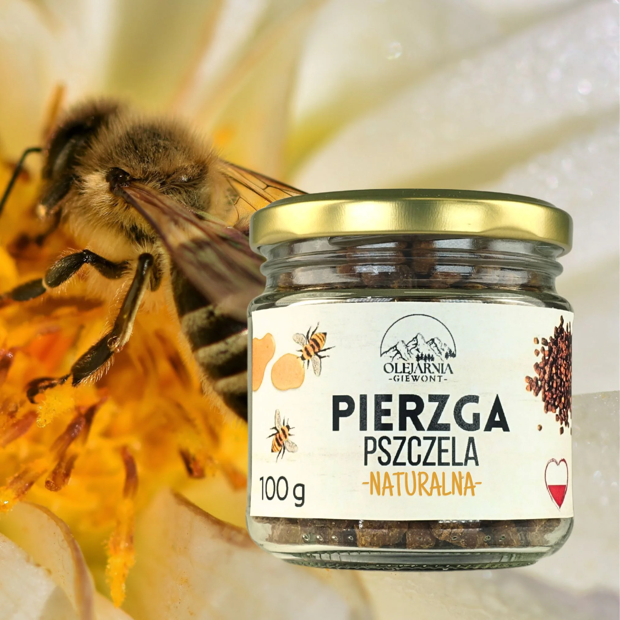 Naturalna pierzga pszczela 100 g Olejarnia Giewont - obrazek 4