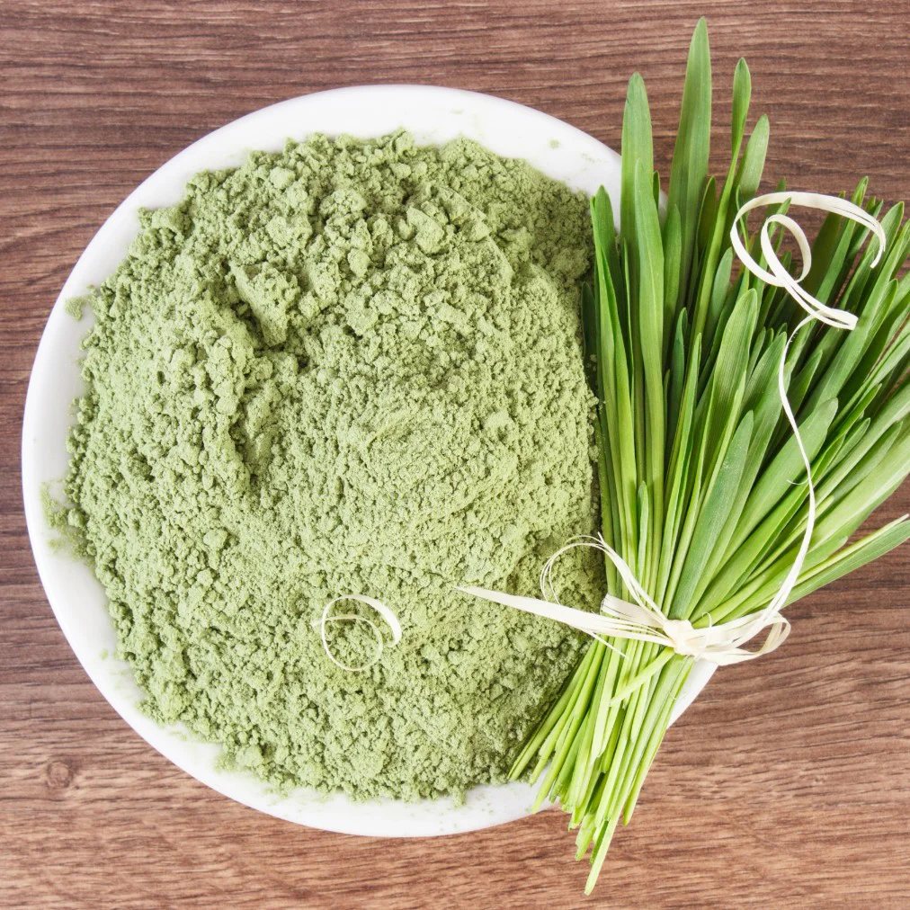 Młody jęczmień ekologiczny w proszku bez GMO 150 g - obrazek 4