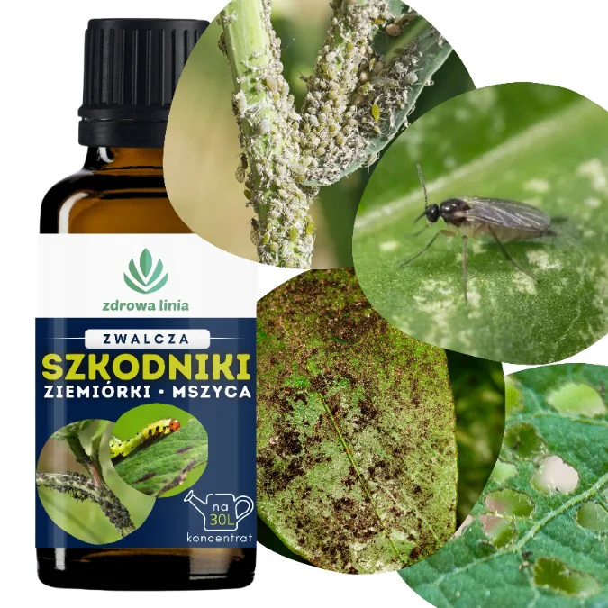 Zwalcza szkodniki koncentrat z olejem neem i citronellą 30 ml - obrazek 10