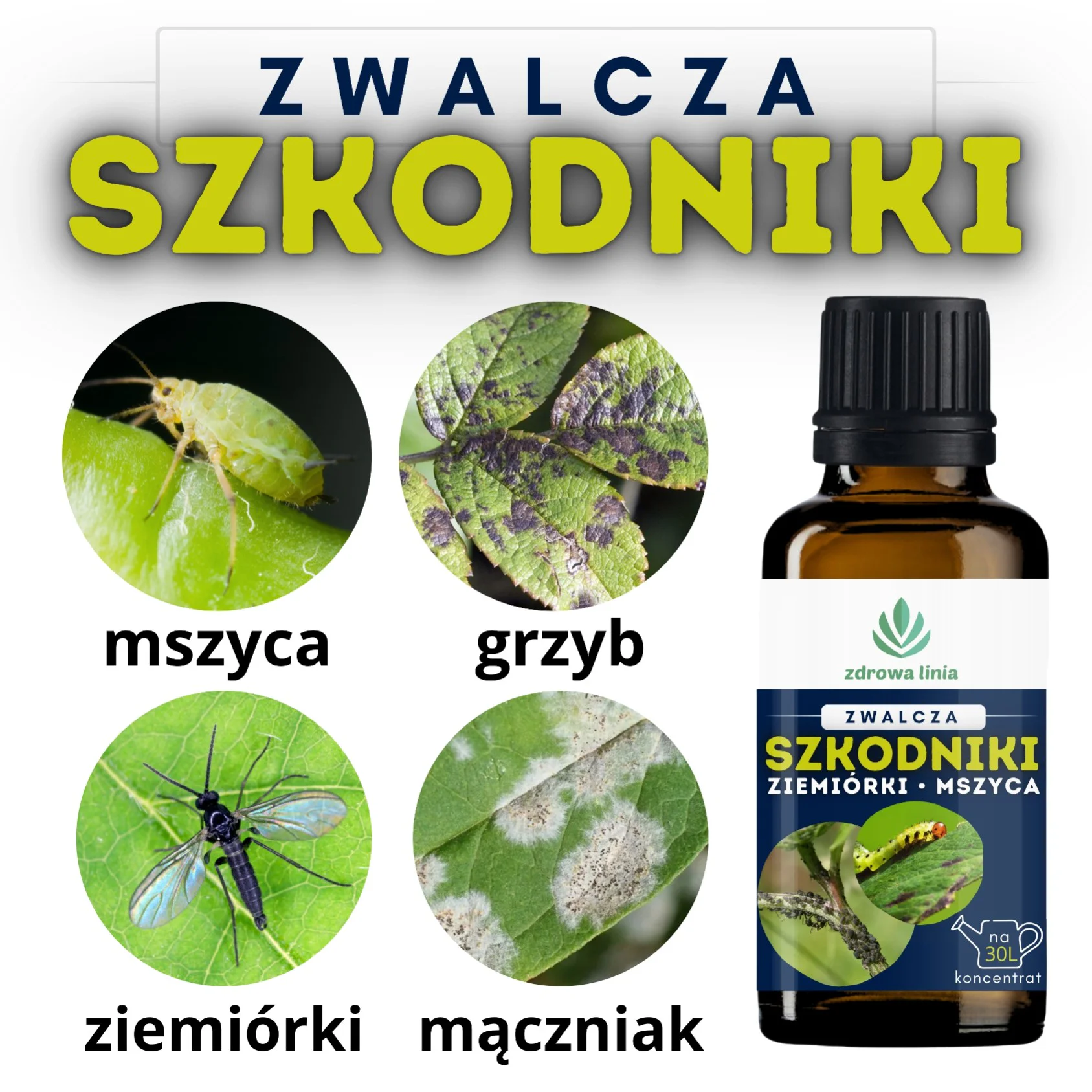 Zwalcza szkodniki koncentrat z olejem neem i citronellą 30 ml - obrazek 9
