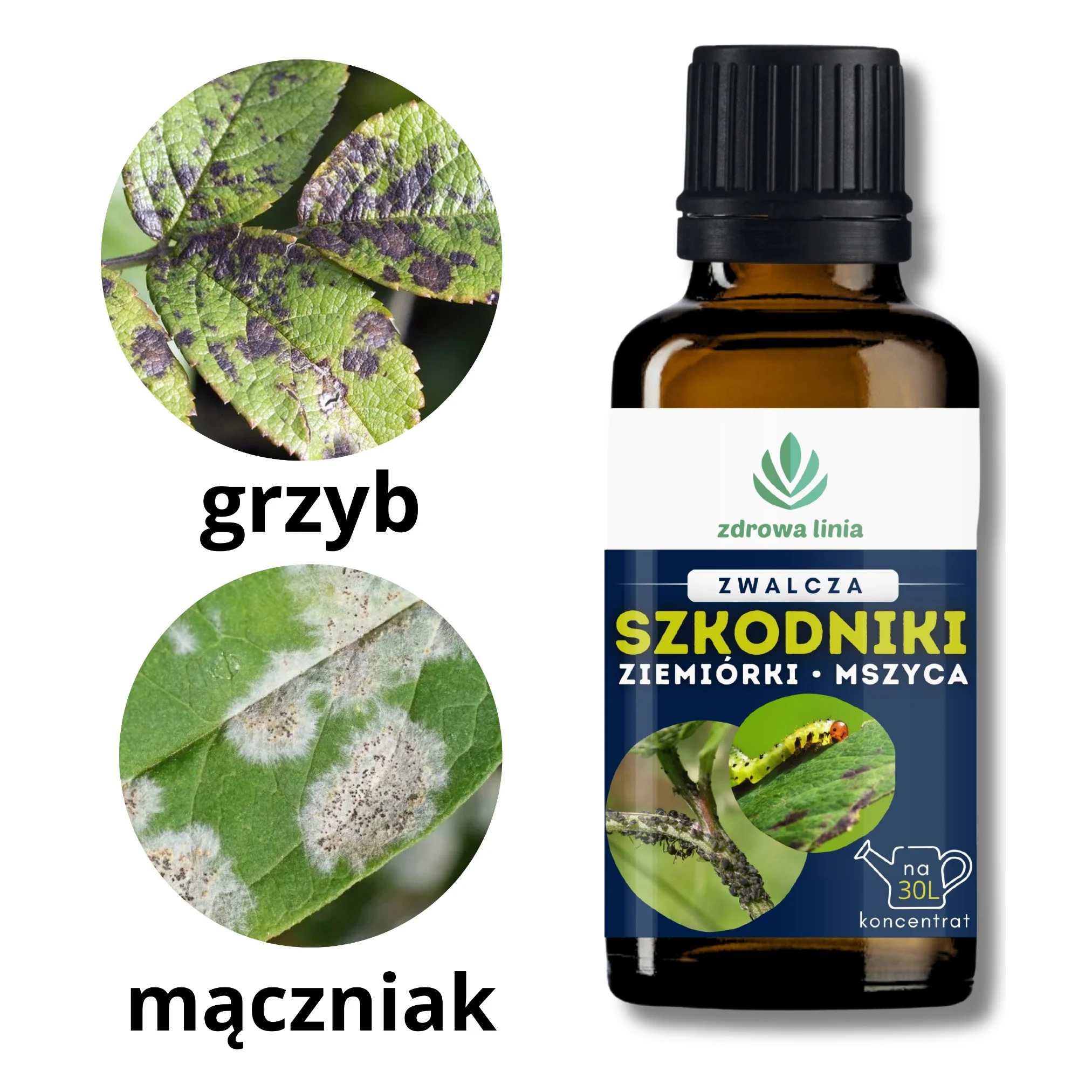Zwalcza szkodniki koncentrat z olejem neem i citronellą 30 ml - obrazek 8