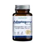 Adaptogeny EXTRAKT 10:1 Ashwagandha 5% gotu kola maca melisa