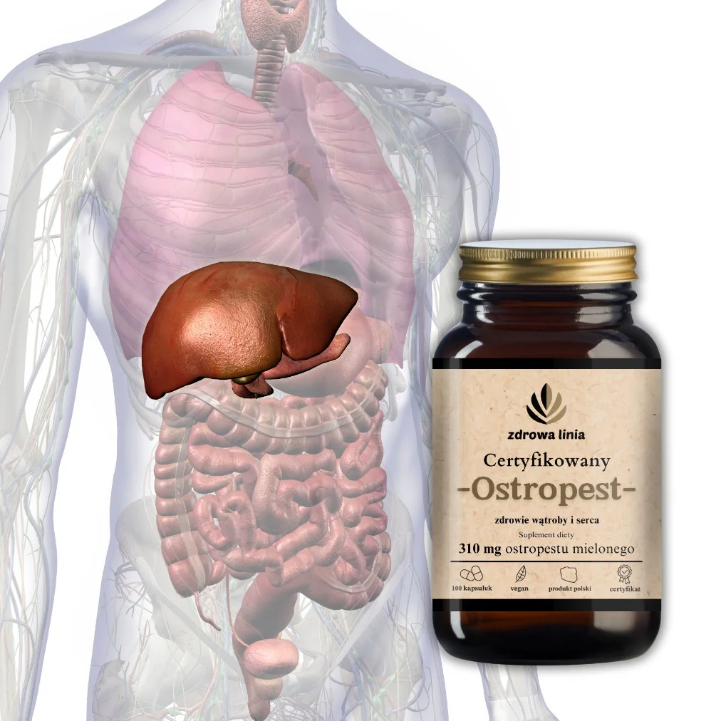 Certyfikowany Ostropest - obrazek 3