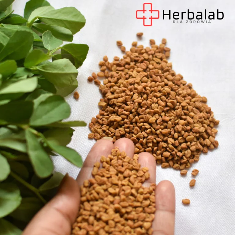 Kozieradka 100 vege caps Herbalab - obrazek 7